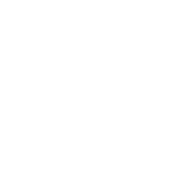 phone white
